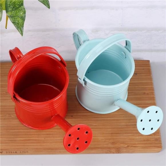 2pcs Watering Can Bucket for Garden Outdoor Watering (Red and Light Blue) - Picture 2 of 8